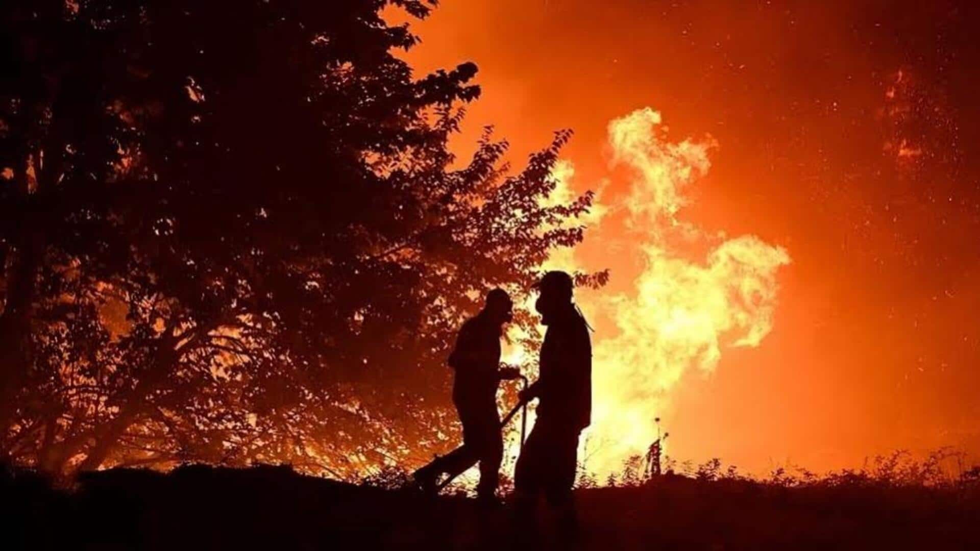 स्पेन के अल्मेरिया में जंगल की भीषण आग हुई बेकाबू, अब तक 12 की मौत