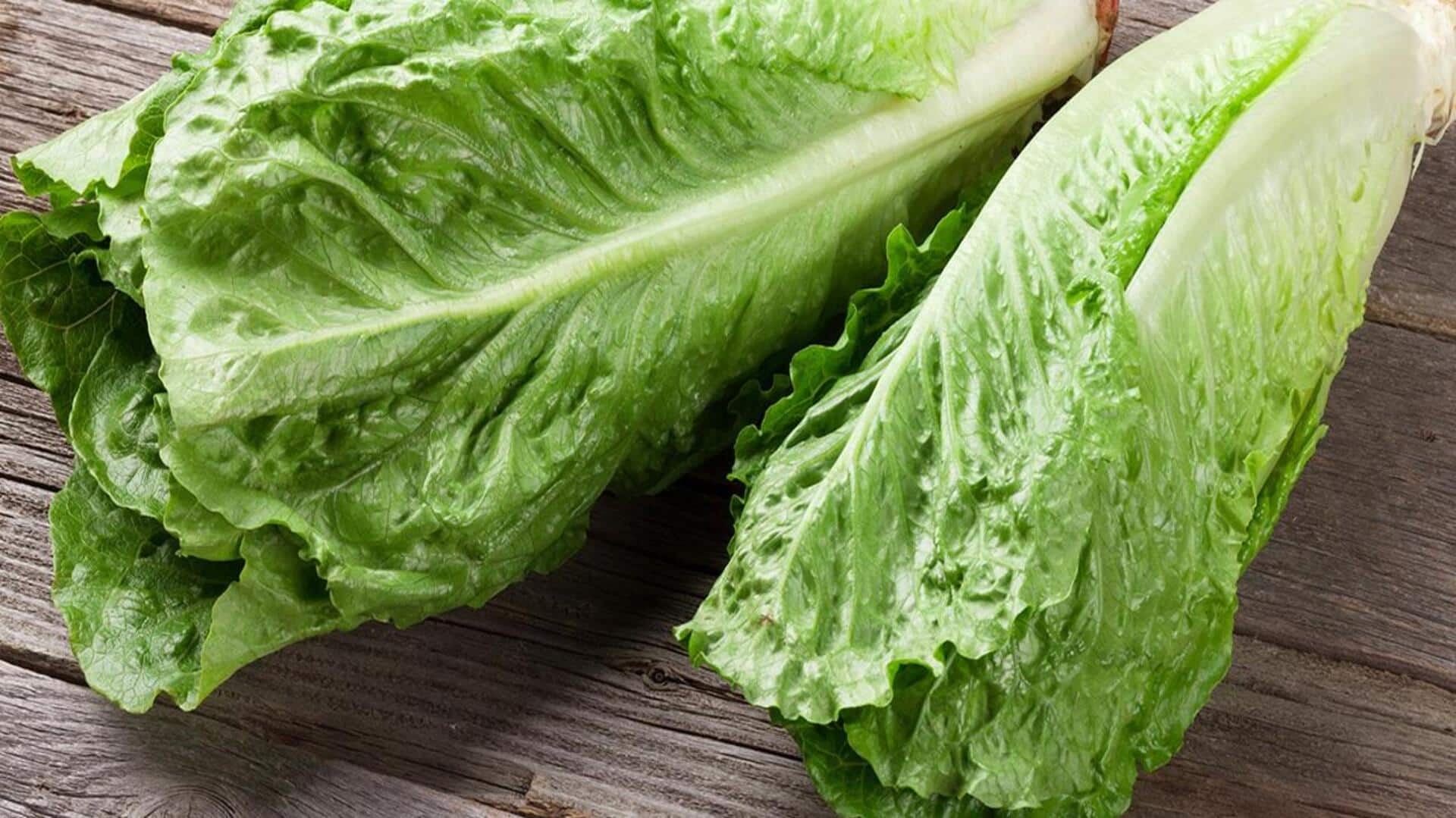 सलाद में शामिल करें लेट्यूस, जानिए इसके फायदे