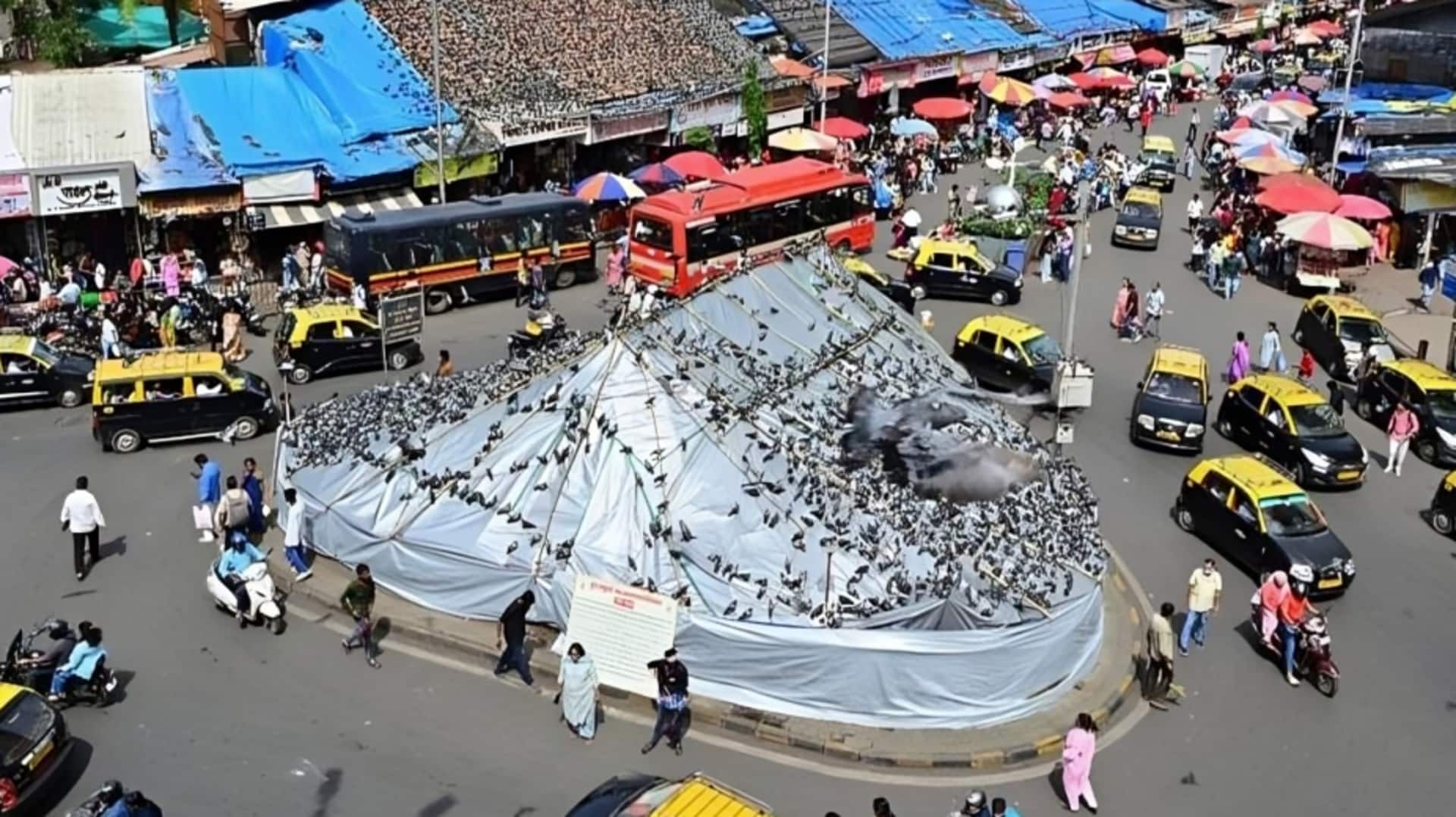 मुंबई के दादर कबूतरखाना में फैला तनाव, जैन समुदाय ने BMC प्रतिबंध मानने से किया इंकार मुंबई के दादर कबूतरखाना में फैला तनाव, जैन समुदाय ने BMC प्रतिबंध मानने से किया इंकार