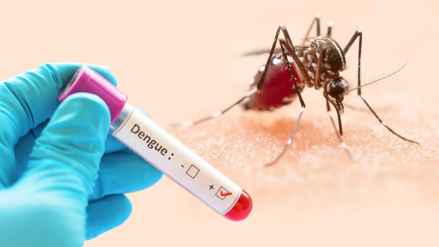 उत्तर प्रदेश में बढ़े डेंगू के मामले, सरकार ने निरस्त की डॉक्टरों की छुटि्टयां