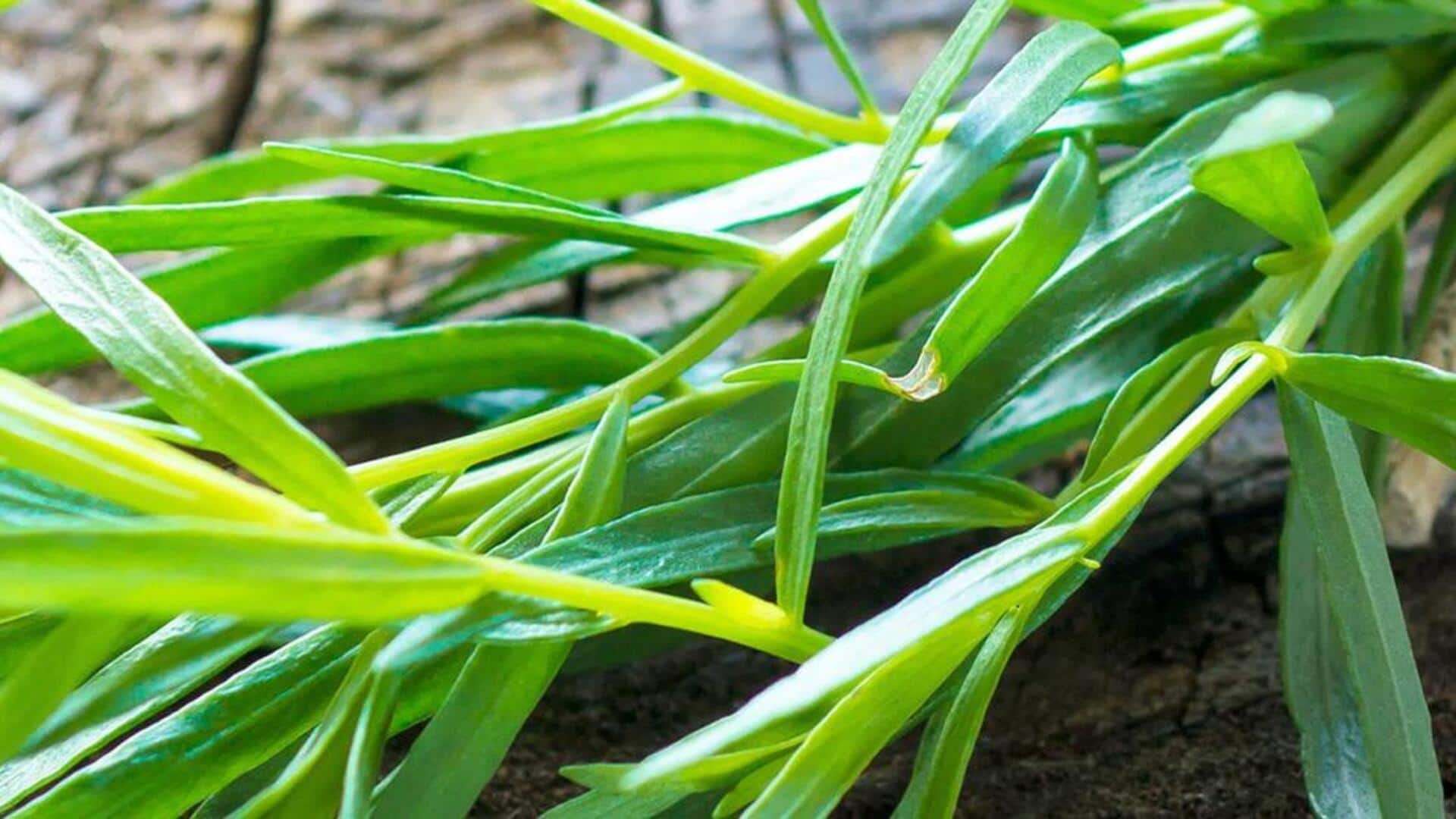 स्वाद बढ़ाने के लिए इन 5 तरीकों से करें तारगोन जड़ी-बूटी का उपयोग