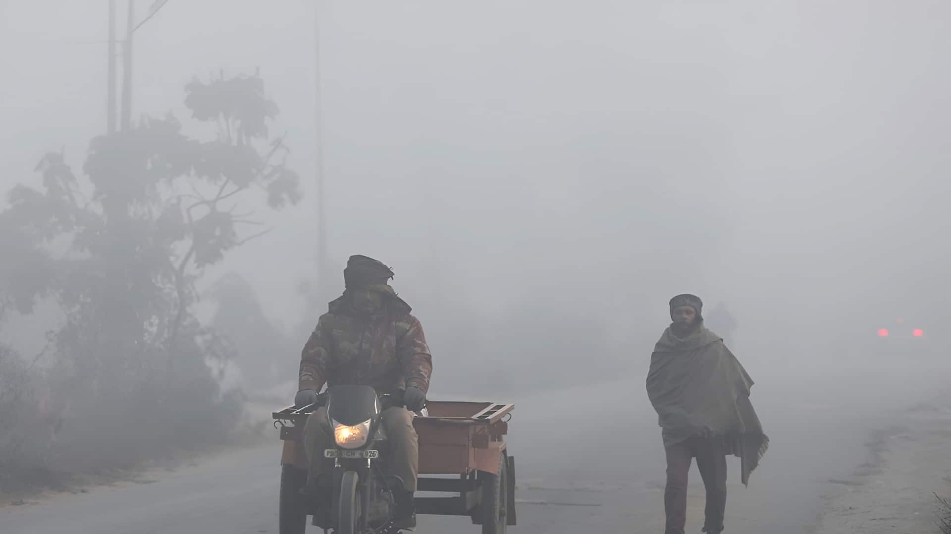 दिल्ली से हरियाणा तक जानलेवा हो रहा घने कोहरे का प्रकोप, बारिश ने बढ़ाई ठिठुरन