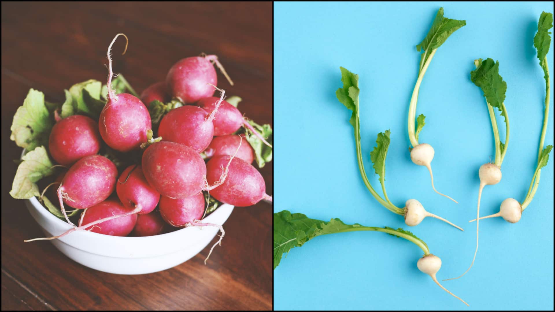 शलजम बनाम मूली: कौन-सी सब्जी है सेहत के लिए ज्यादा पौष्टिक?