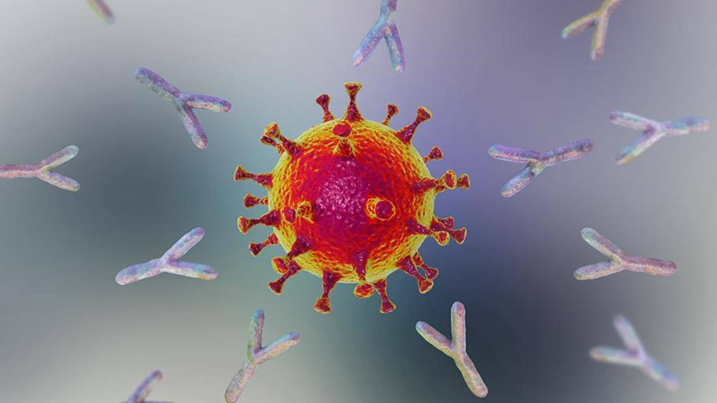 क्यों महत्वपूर्ण है तीसरा सीरो सर्वे? क्यों महत्वपूर्ण है तीसरा सीरो सर्वे?