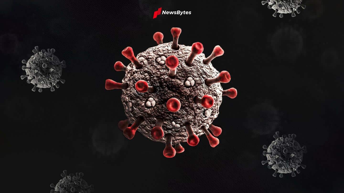 रूसी चमगादड़ों में पाया गया नया कोरोना वायरस खोस्टा-2, इंसानों को कर सकता है संक्रमित