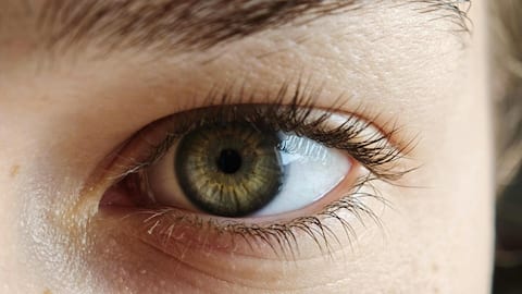 पलकों को लंबा और घना करना चाहती हैं?  खान-पान में करें ये जरूरी 5 बदलाव