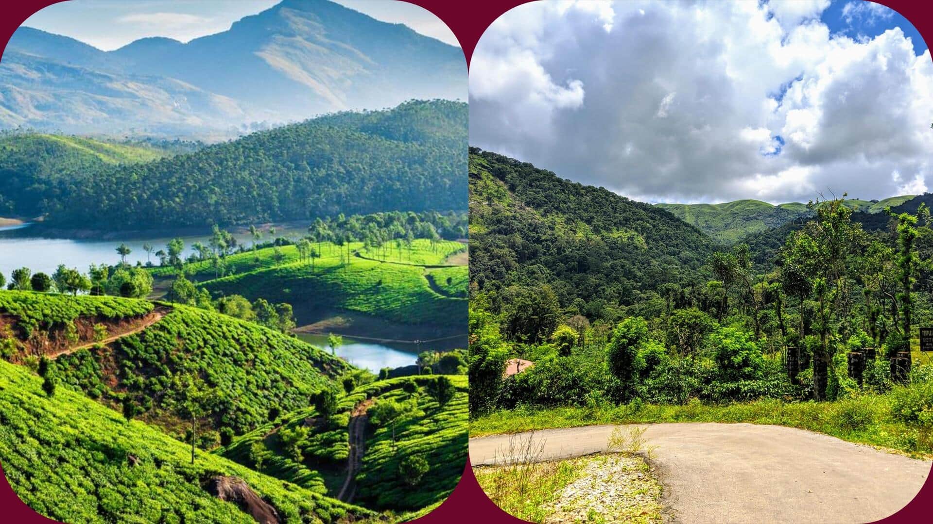 कूर्ग या मुन्नार? दोनों पहाड़ी क्षेत्रों में से किसे चुनना है बेहतर? जानिए