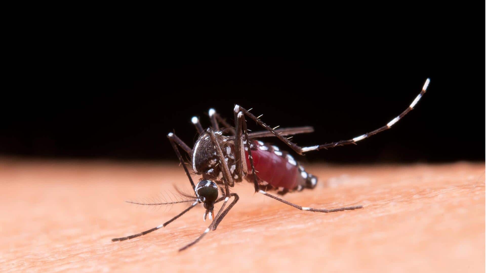 विश्व मलेरिया दिवस: इस बीमारी से बचने के लिए 5 असरदार घरेलू उपचार