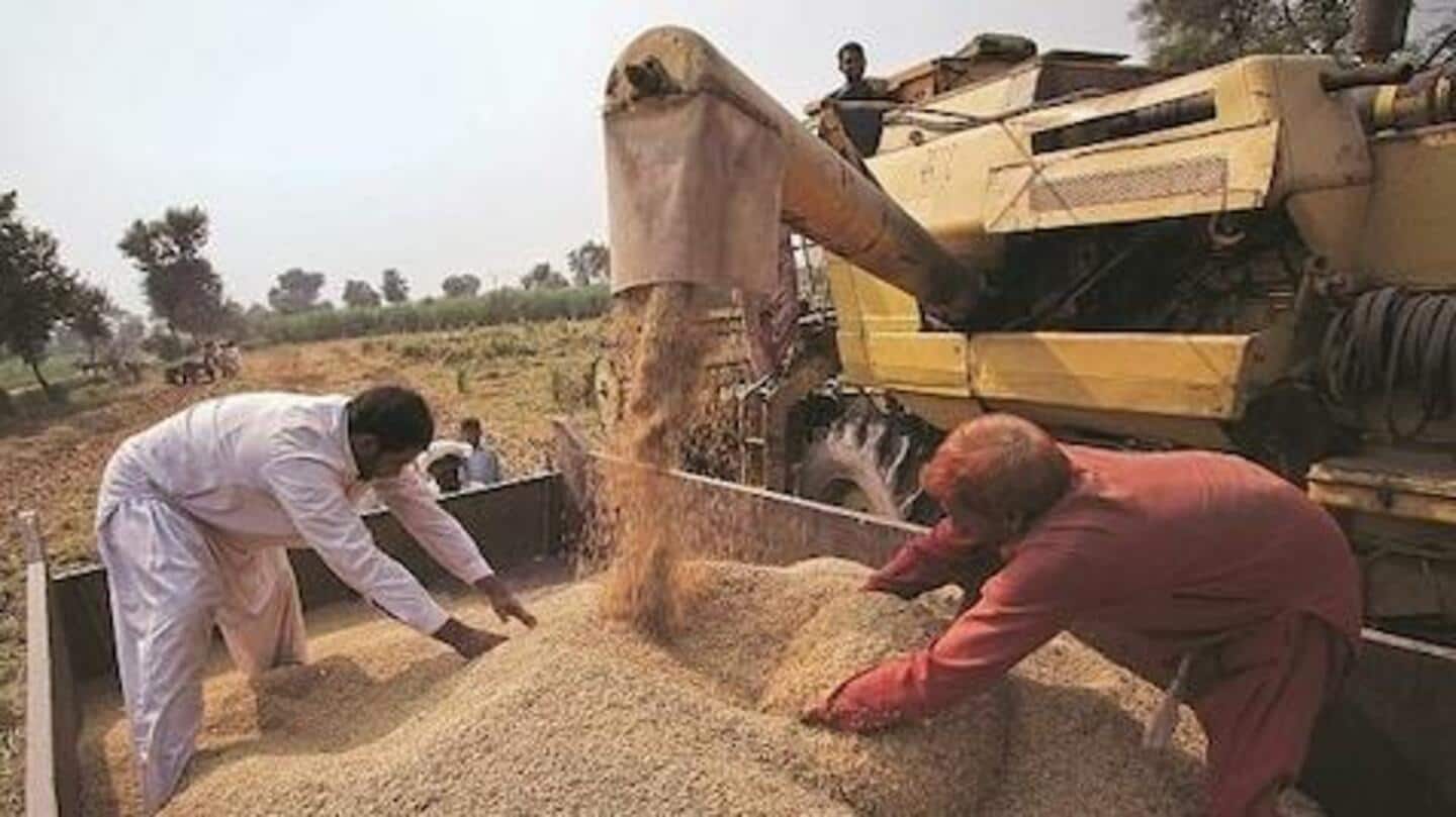 पंजाब के किसान संघों ने गेंहू के निर्यात पर रोक को बताया किसान विरोधी कदम