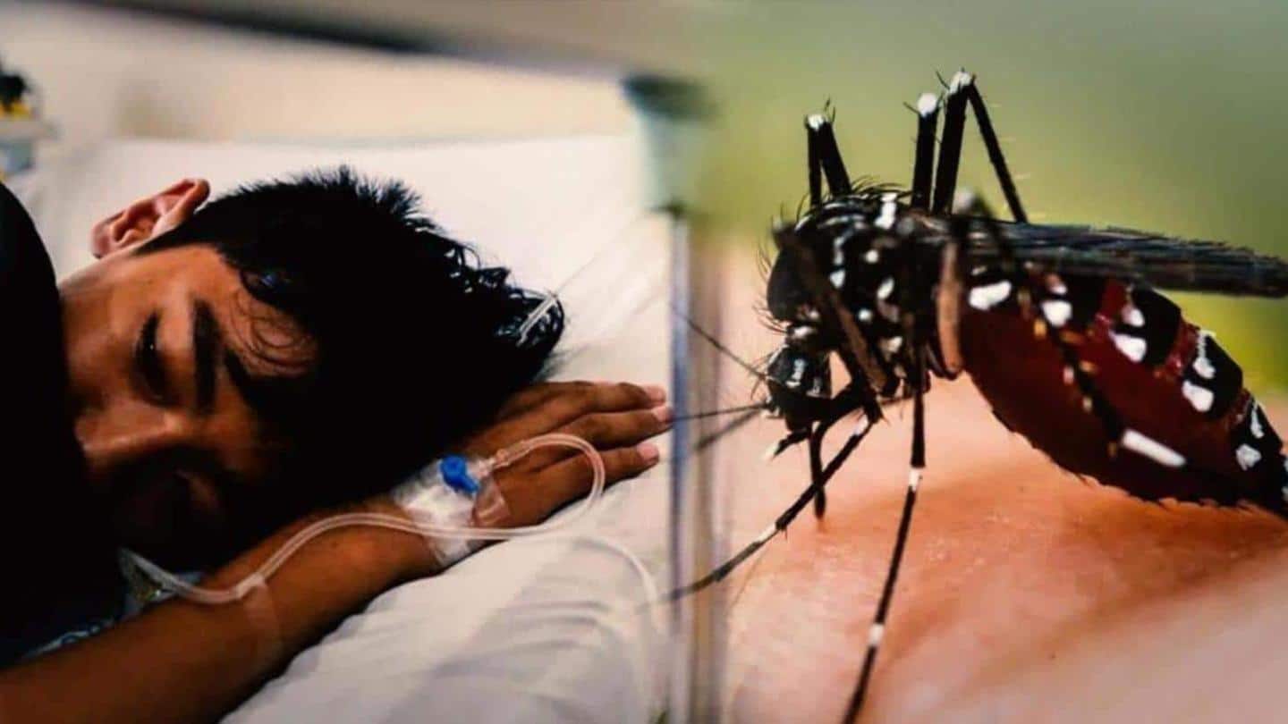 डेंगू: भारत, पाकिस्तान और बांग्लादेश में प्रसार तेज, जानिये कैसे फैलता है यह बुखार