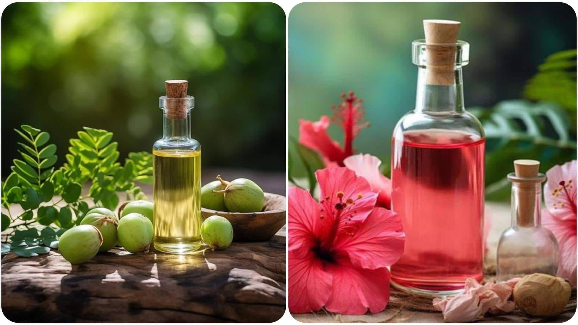 क्या बालों की लंबाई बढ़ाने के लिए आंवला का तेल बेहतर है या गुड़हल का?