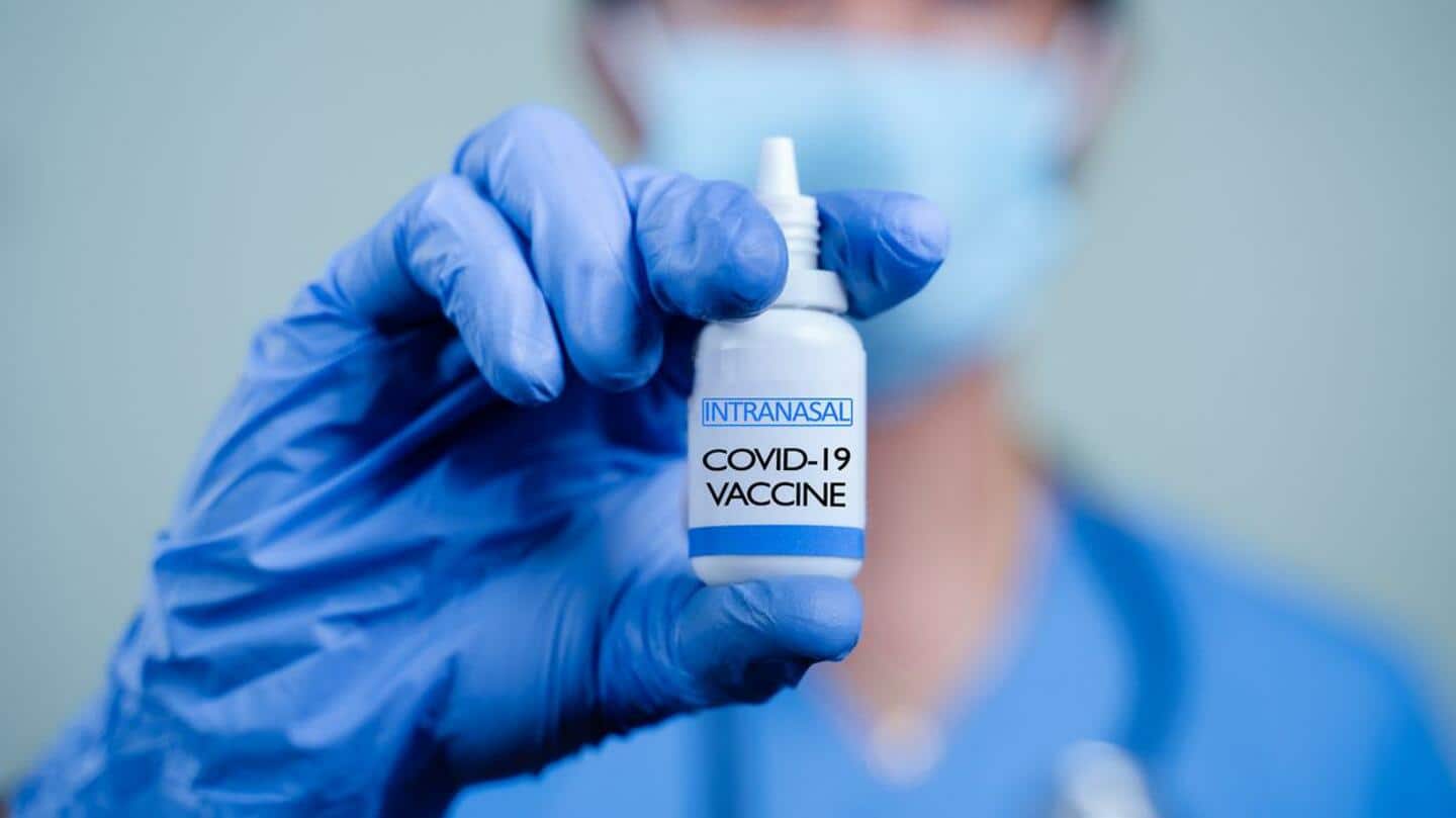 कोविड-19 से निपटने में कैसे मददगार होगी भारत बायोटेक की नाक से दी जाने वाली वैक्सीन?