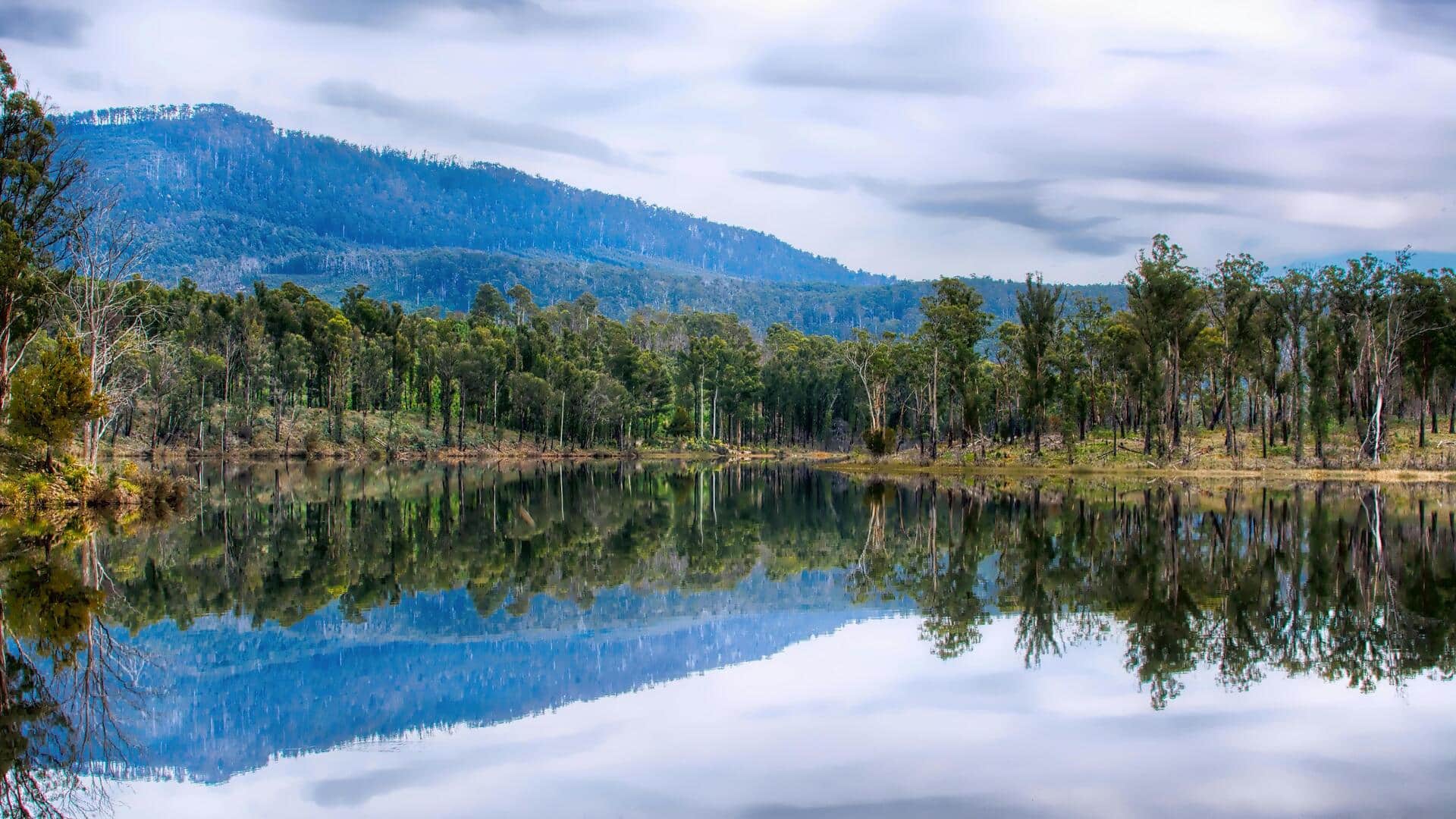 ऑस्ट्रेलिया का हिस्सा है तस्मानिया, यहां जाएं तो जरूर करें इन 5 जगहों का रुख
