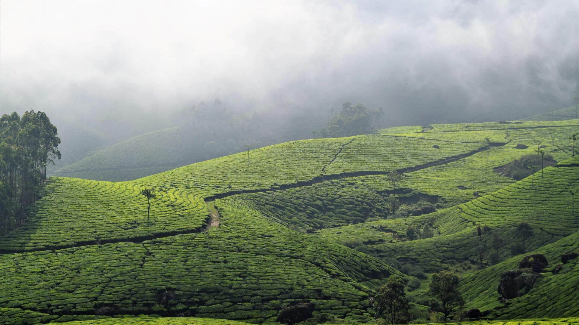 मानसून के दौरान दक्षिण भारत की इन जगहों पर करें यात्रा, कम होगा खर्चा