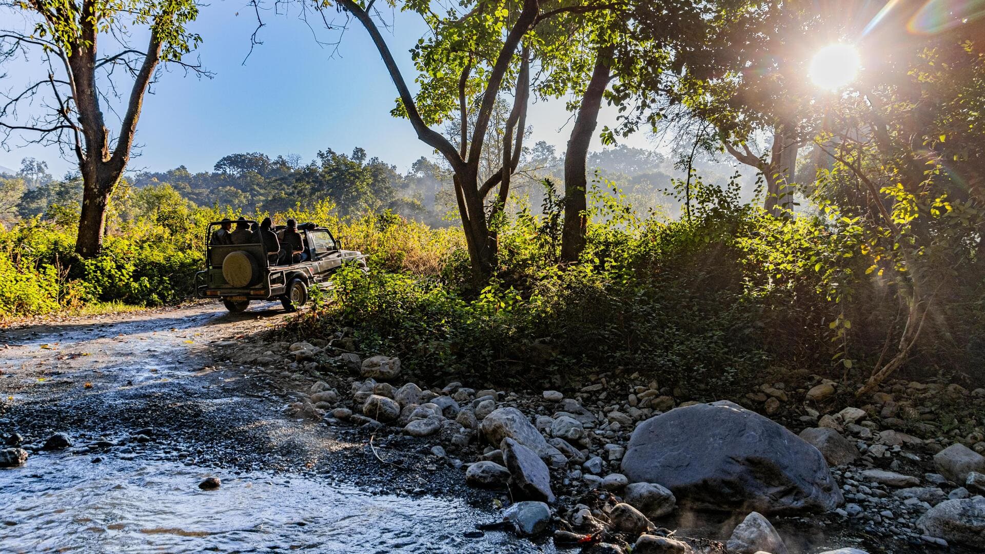 जंगल सफारी का लेना है असली मजा? ये 5 जगहें हैं बिल्कुल बेहतरीन