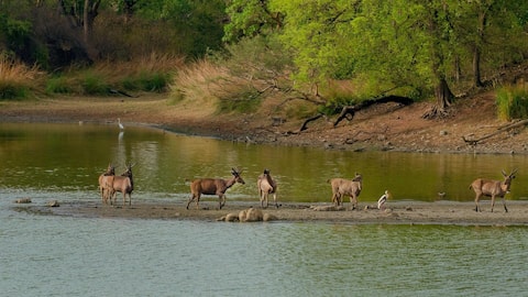 गर्मियों में पूर्वोत्तर में घूमने की बनाएं योजना, जानें यहां के UNESCO विश्व धरोहर स्थल