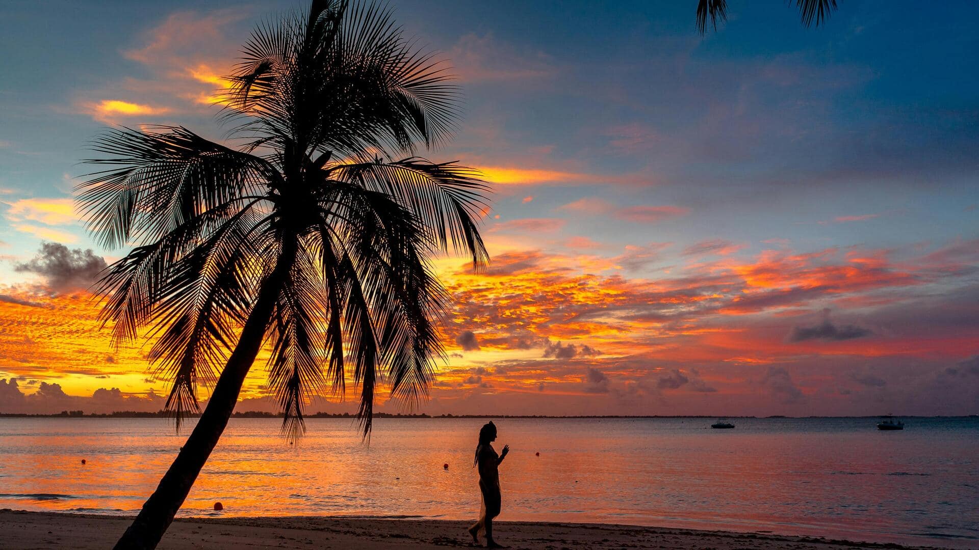 सेशेल्स के 5 रहस्यमयी द्वीप, जिनकी यात्रा बन सकती है यादगार