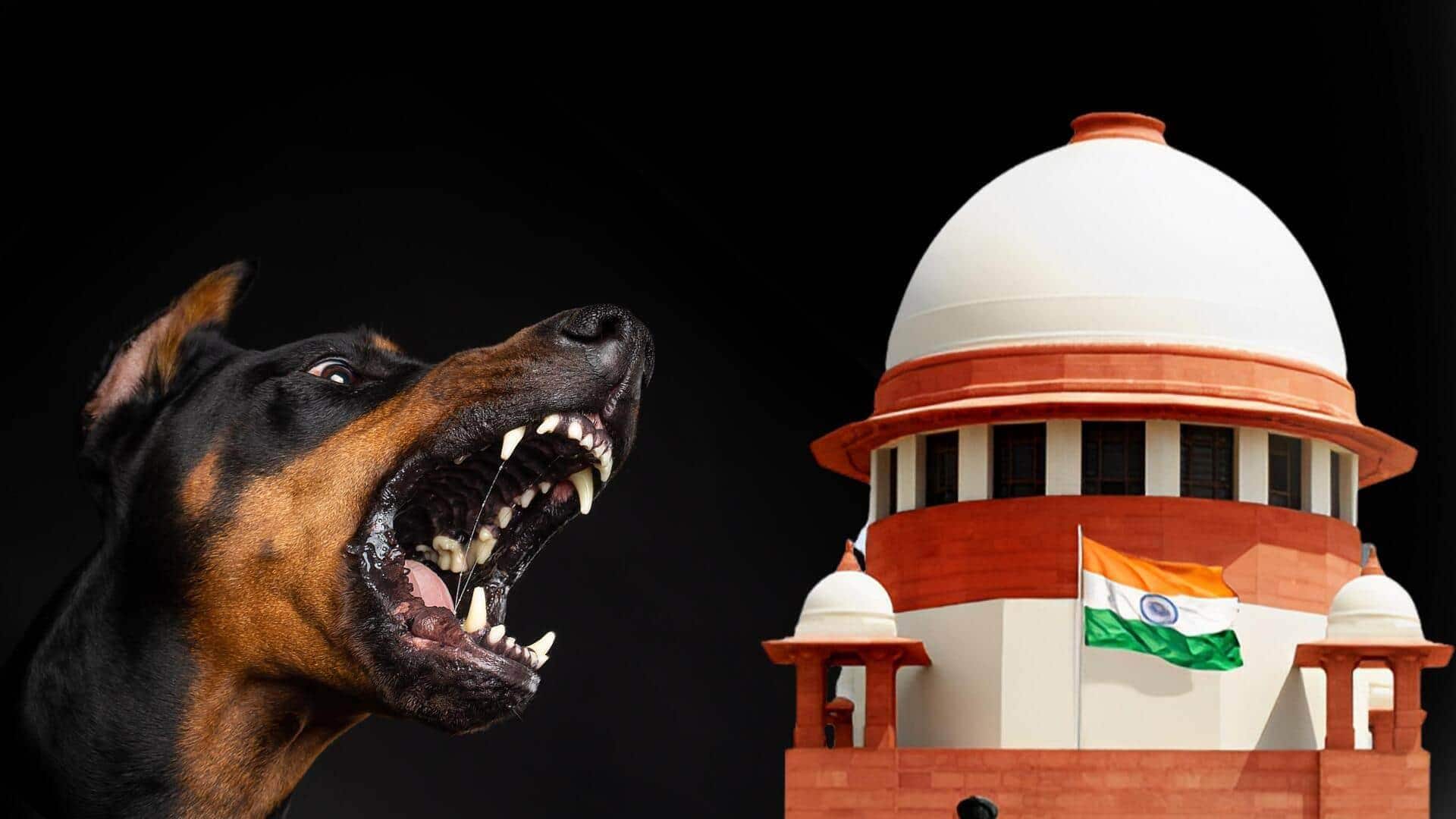 सुप्रीम कोर्ट ने आवारा कुत्तों के मुद्दे पर राज्य सरकारों को क्यों लगाई फटकार?