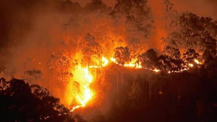 उत्तराखंड: जंगलों में लगी आग को बुझाने के लिए केंद्र सरकार ने भेजी टीमें और हेलीकॉप्टर्स