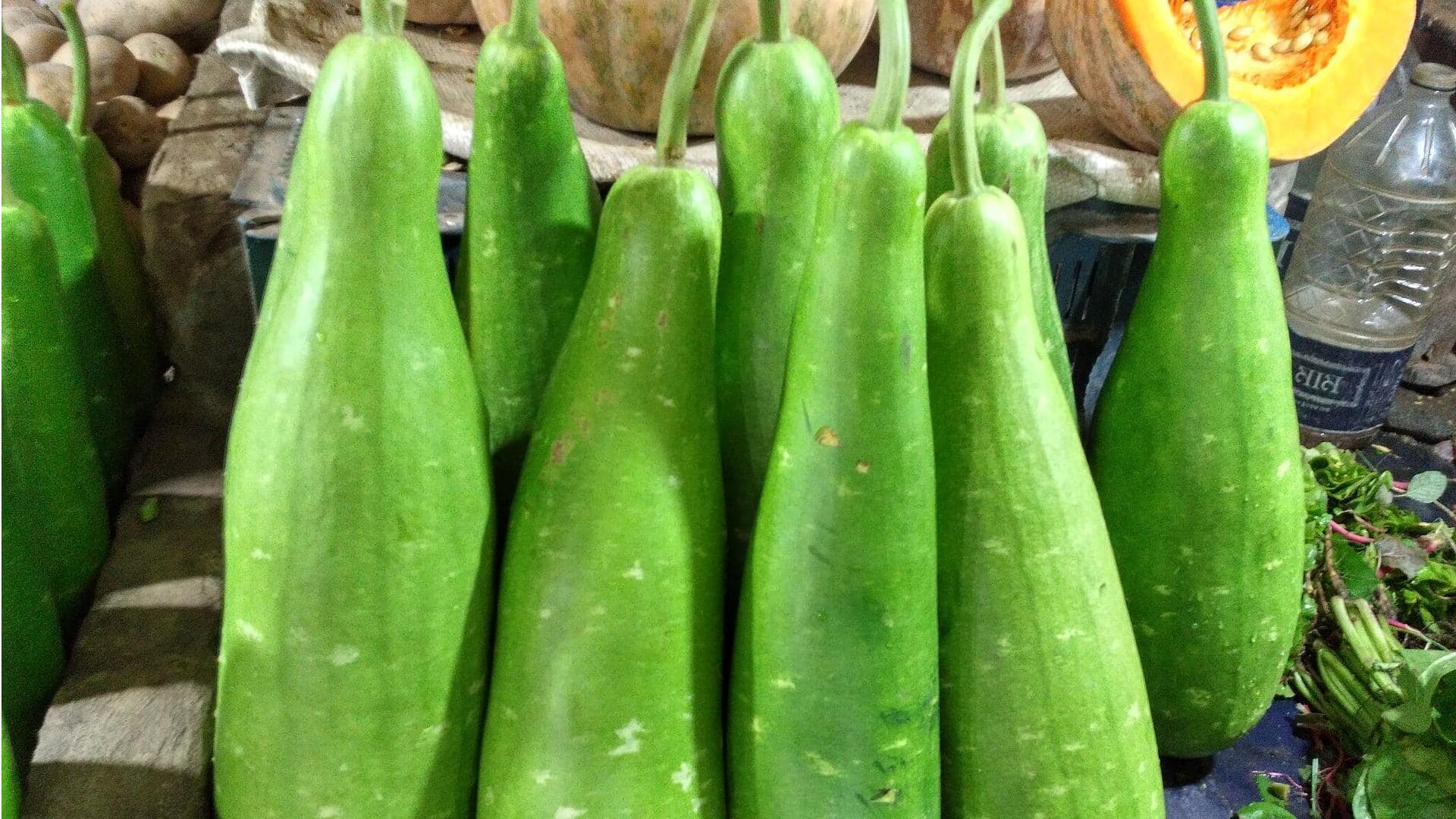 लौकी से नाश्ते के लिए बनाएं ये 5 पौष्टिक व्यंजन, सेहत के लिए होंगे फायदेमंद