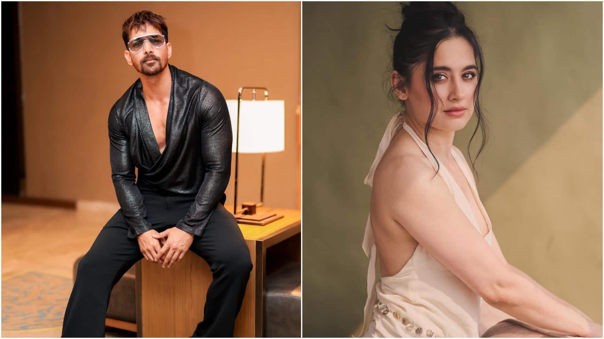हर्षवर्धन राणे और संजीदा शेख ने अपने रिश्ते पर लगाई मोहर? तस्वीरें देख शुरू हुई चर्चा