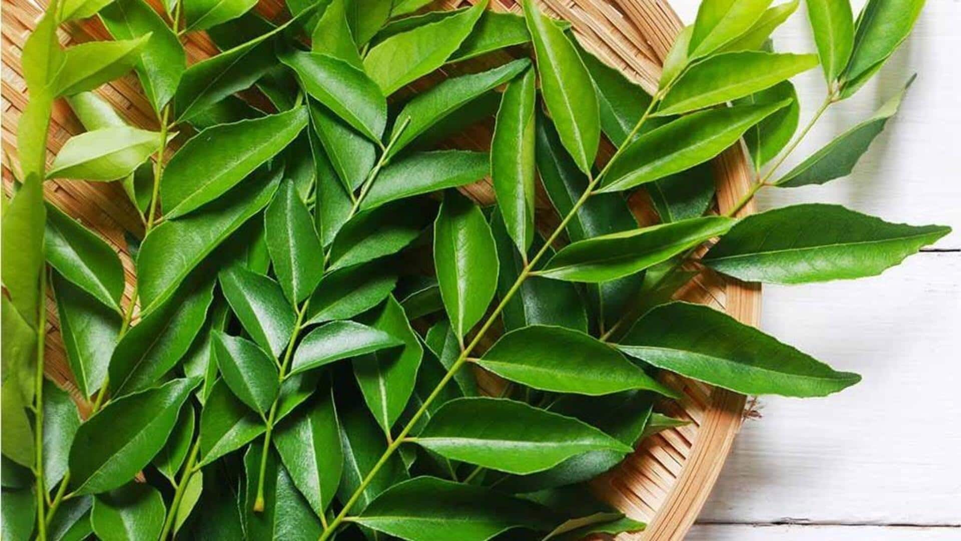 सर्दियों के दौरान करी पत्ते के पौधे की देखभाल करने से मिलेंगे ये फायदे