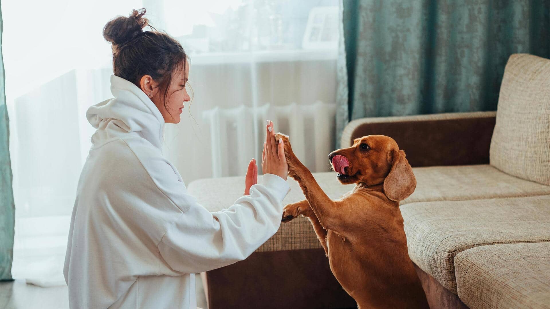 सुबह की ये 5 आदतें आपके कुत्ते को रख सकती हैं खुश, आज ही अपना लें