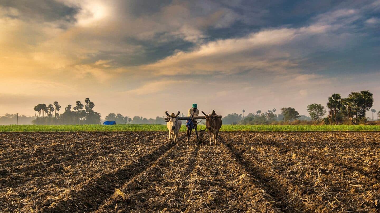 कांग्रेस का दावा- भाजपा के शासन में हर घंटे एक किसान कर रहा है खुदकुशी
