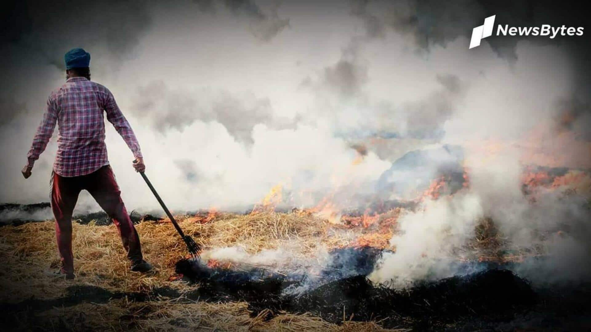 हरियाणा में पराली जलाने वाले किसानों पर होगी FIR, मंडियों में फसल बेचने से रोका जाएगा