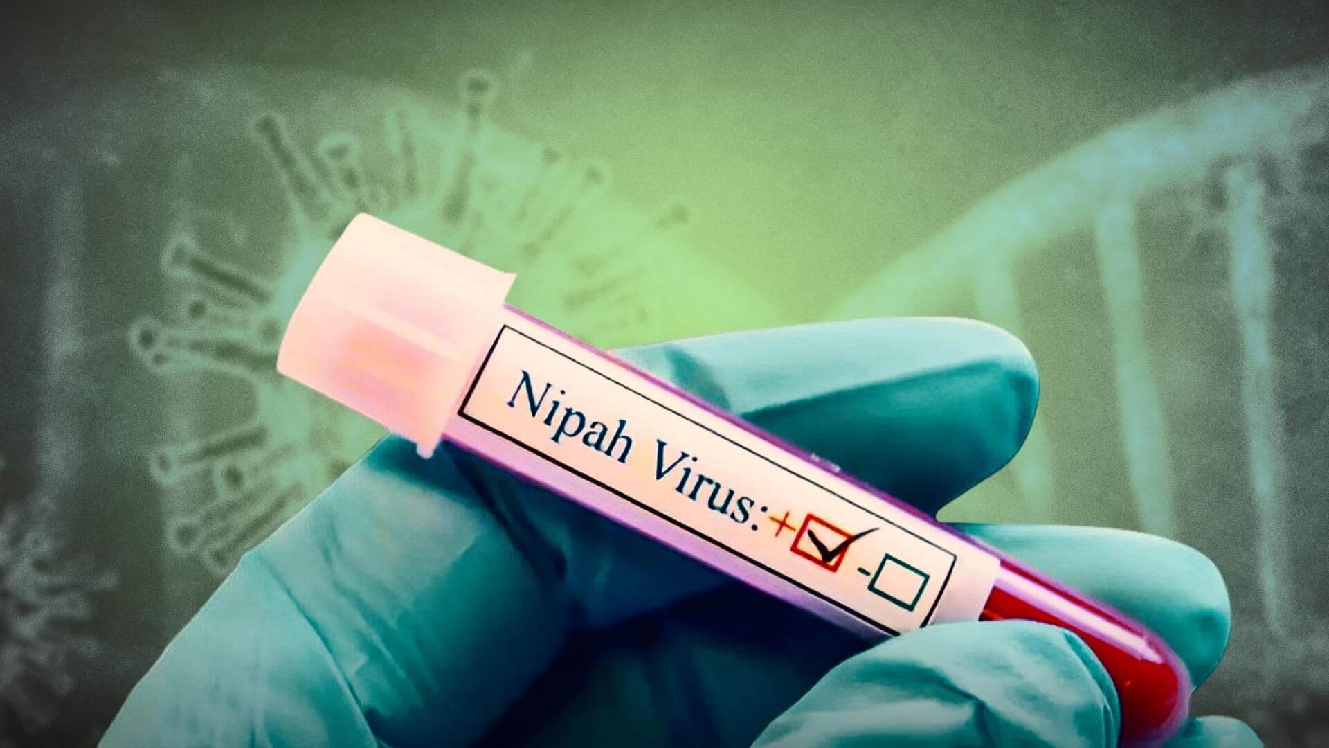 #NewsBytesExpainer: केरल ने कैसे निपाह वायरस को बड़े स्तर पर फैलने से रोका? 
