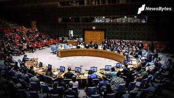 अगस्त महीने के लिए UNSC का अध्यक्ष बना भारत, पाकिस्तान ने कही ये बात