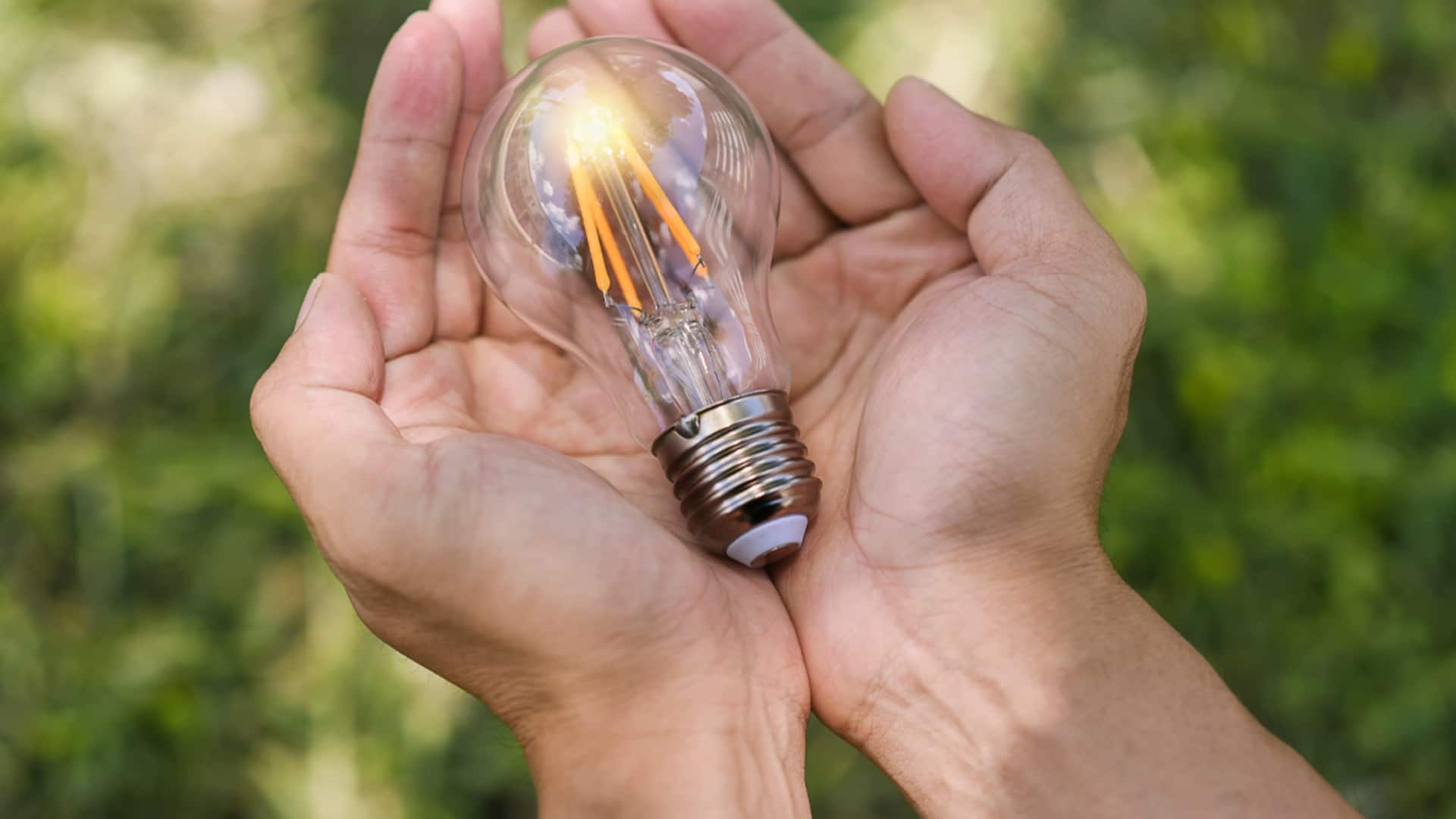 गर्मियों के दौरान अपनाएं ये इको-फ्रेंडली आदतें, बिजली का बिल होगा कम
