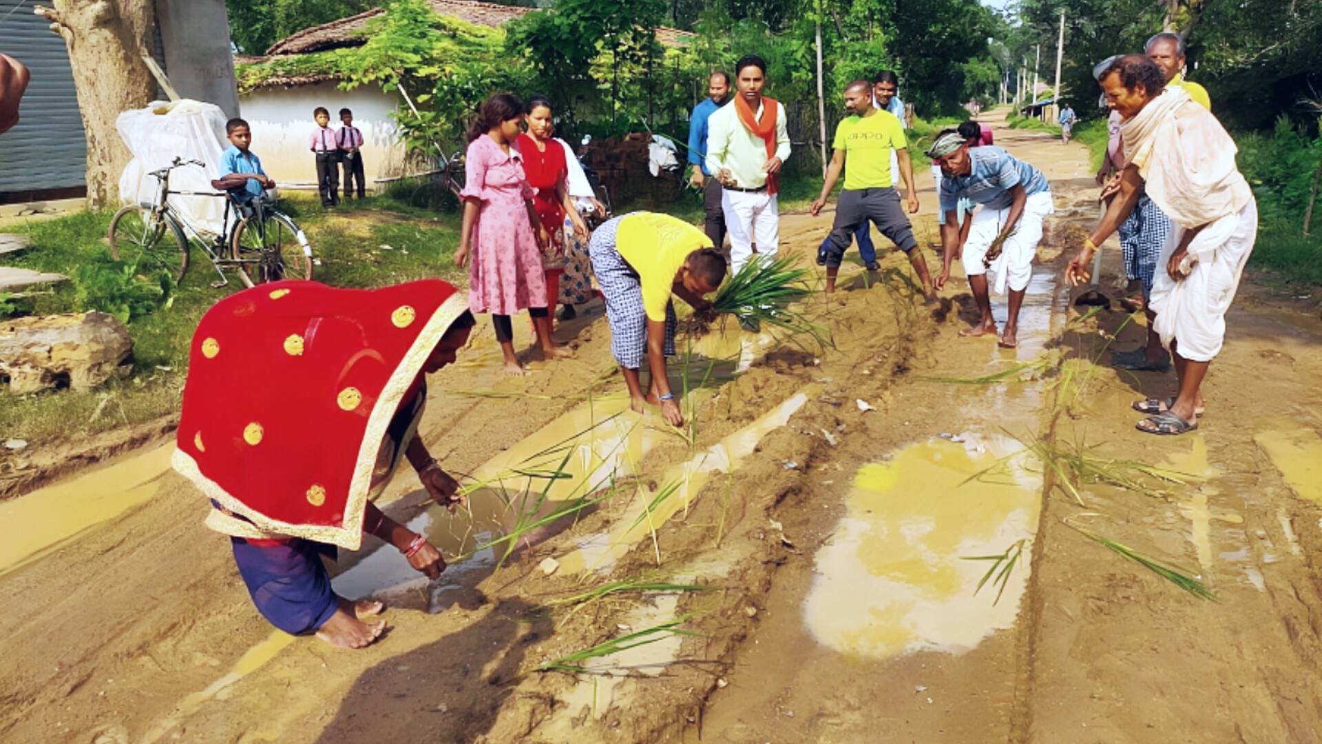 तेलंगाना: हैदराबाद में विरोध जताने के लिए सड़कों के गड्ढों पर रोपी गई धान की फसल