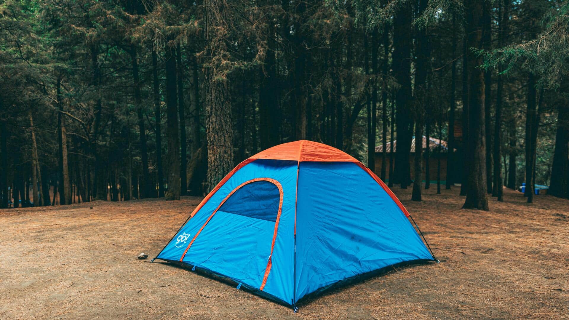 भारत में कैंपिंग का आनंद लेने के लिए बेहतरीन हैं ये 5 जगहें, जानिए