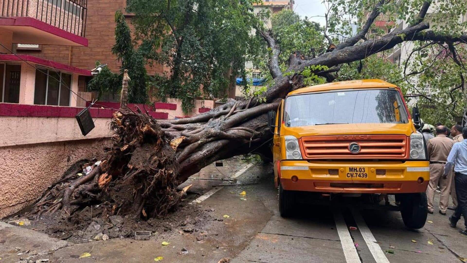 मुंबई के चेंबूर में स्कूल बस पर बड़ा पेड़ गिरा; एक छात्र की मौत, 10 घायल