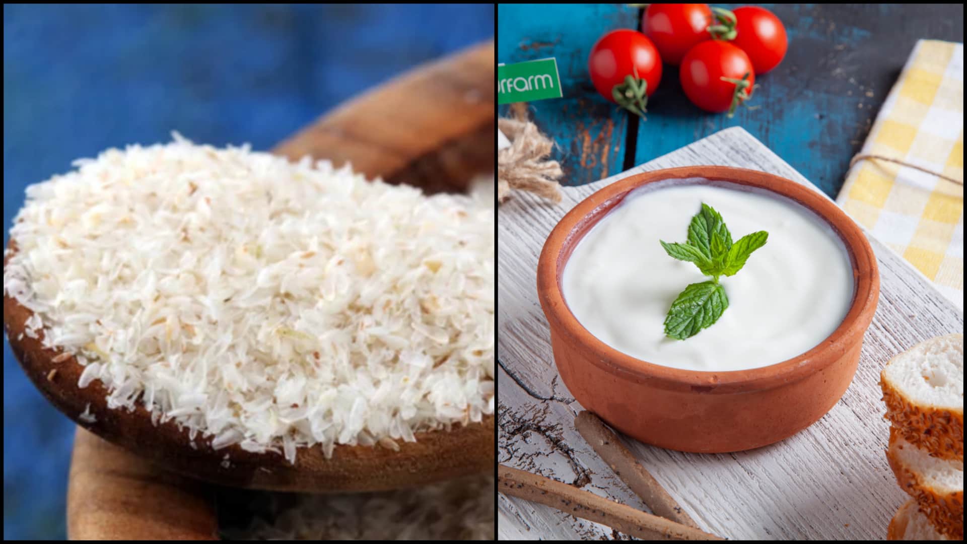 पाचन स्वास्थ्य के लिए इसबगोल या प्रोबायोटिक्स में से किसका सेवन करना है बेहतर?