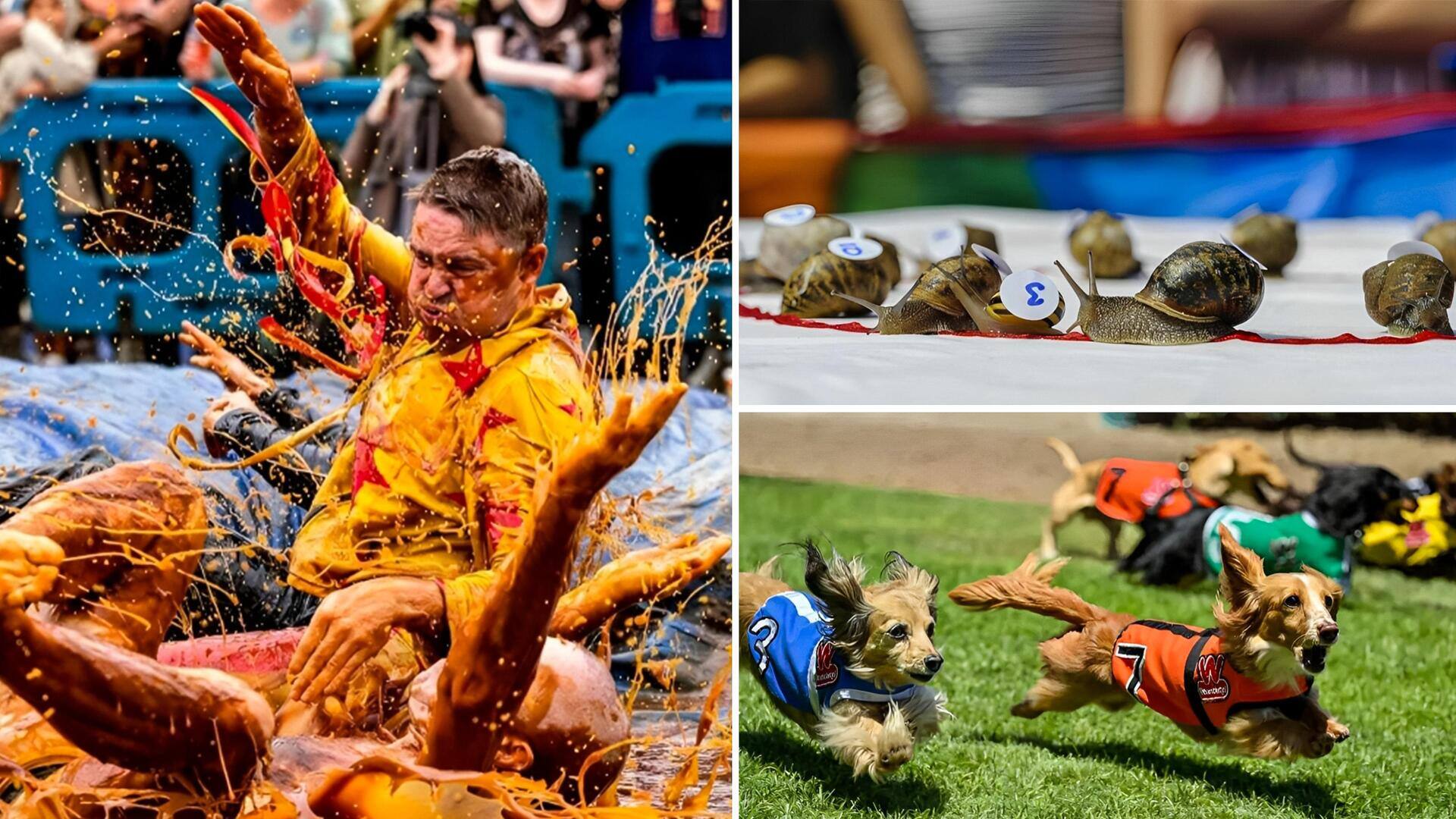 ग्रेवी में कुश्ती लड़ने से लेकर बदसूरत कुत्ते तक, अलग-अलग देशों में होने वाली विचित्र प्रतियोगिताएं