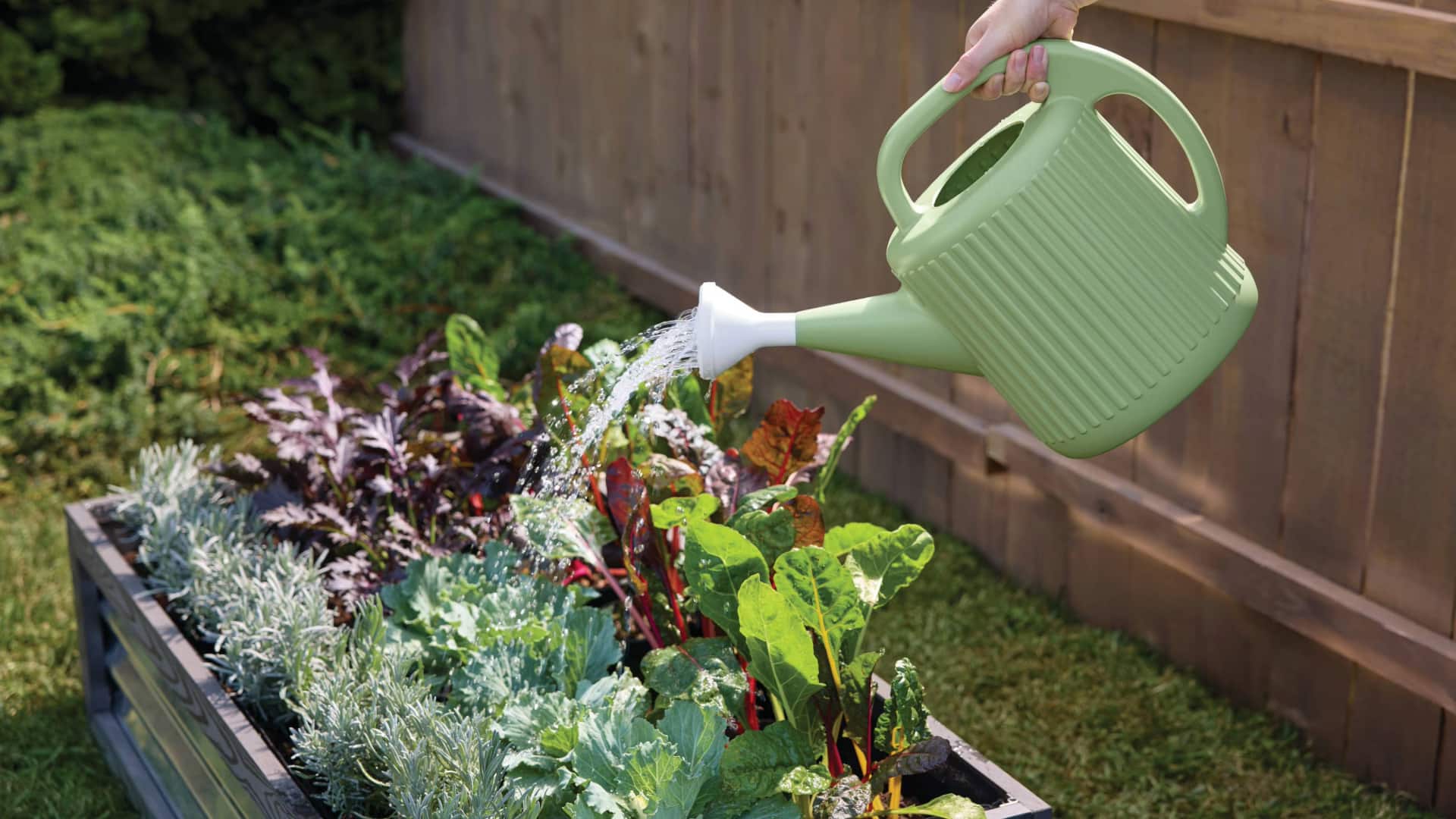 बागवानी काे आसान और मजेदार बना देगा AI, ये 5 टूल हैं उपयोगी 