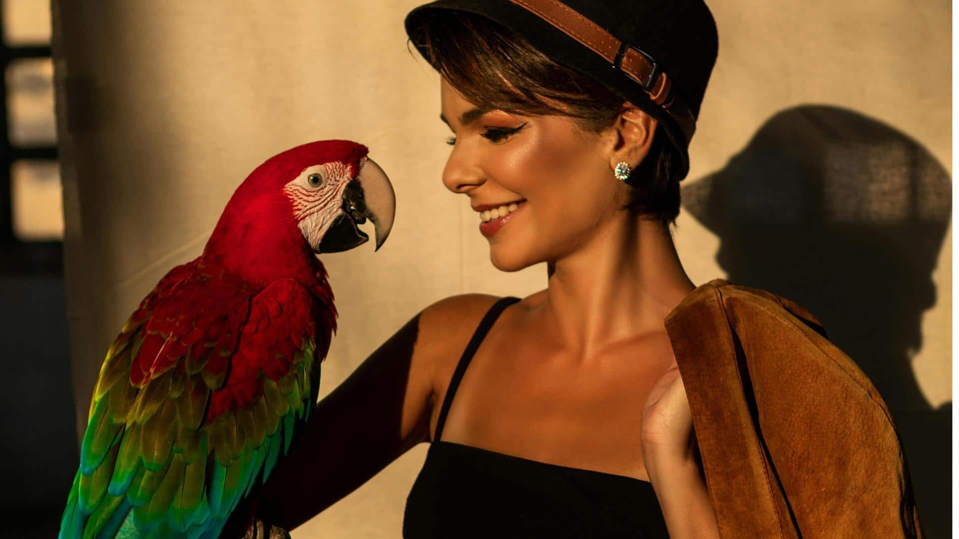 पालतू तोता खरीदने की सोच रहे हैं? जानिए उसे ट्रेन करने के तरीके