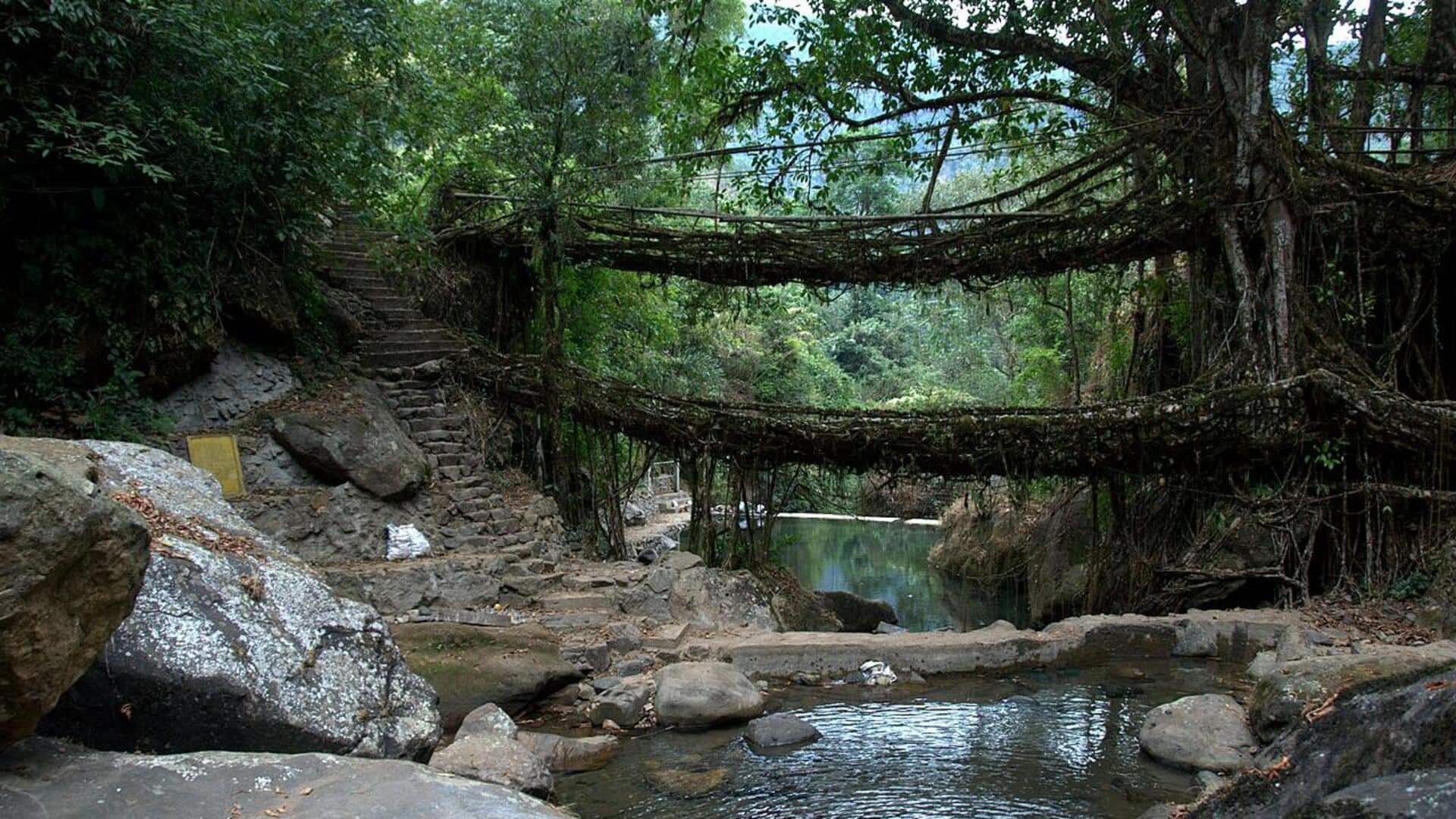 मेघालय के चेरापूंजी में हैं कई जिंदा जड़ों से बने पुल, इन्हें बनाएं यात्रा का हिस्सा