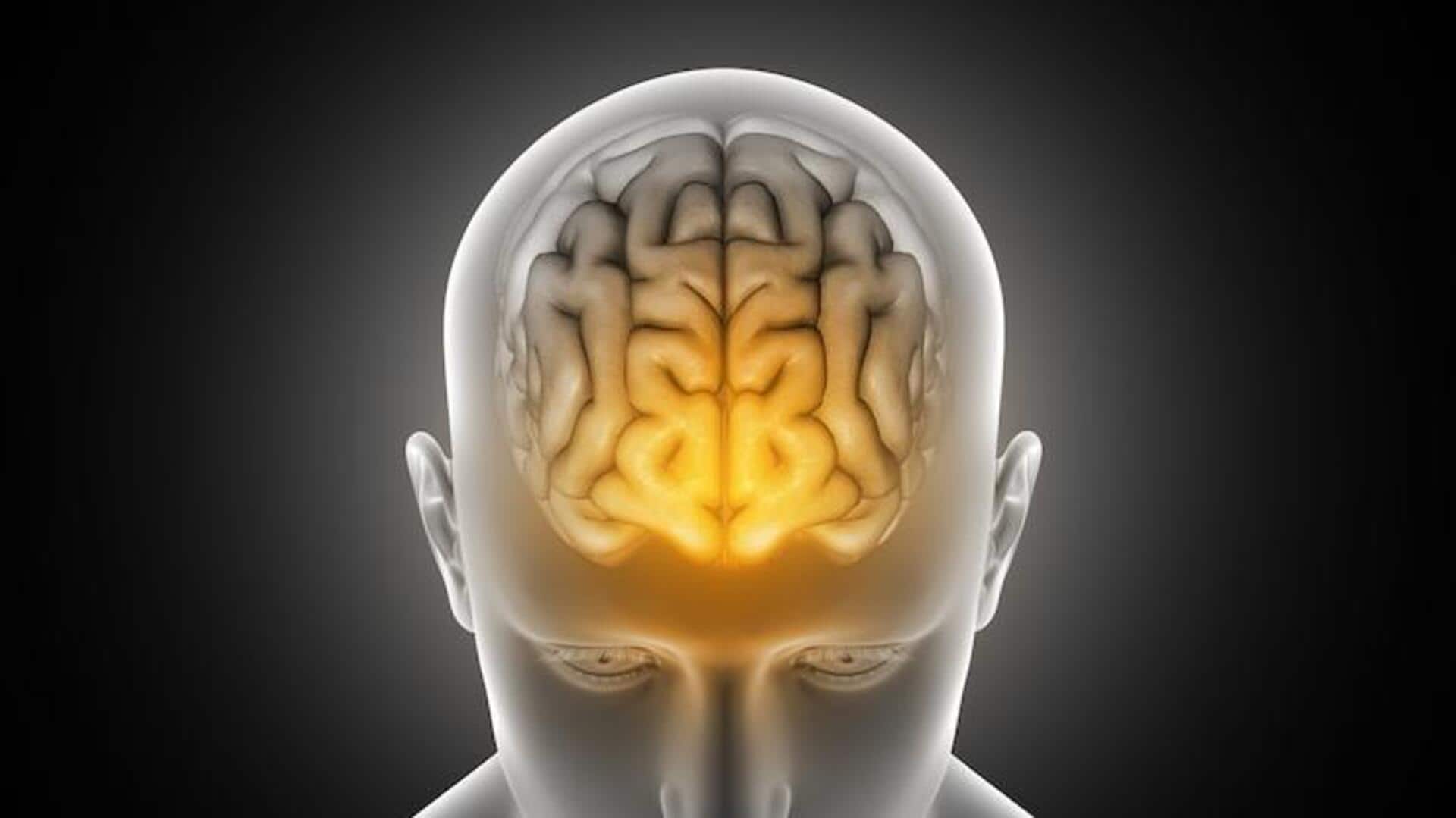 रोजमर्रा की ये 5 आदतें आपके मस्तिष्क को पहुंचा सकती हैं नुकसान, बनाएं दूरी रोजमर्रा की ये 5 आदतें आपके मस्तिष्क को पहुंचा सकती हैं नुकसान, बनाएं दूरी