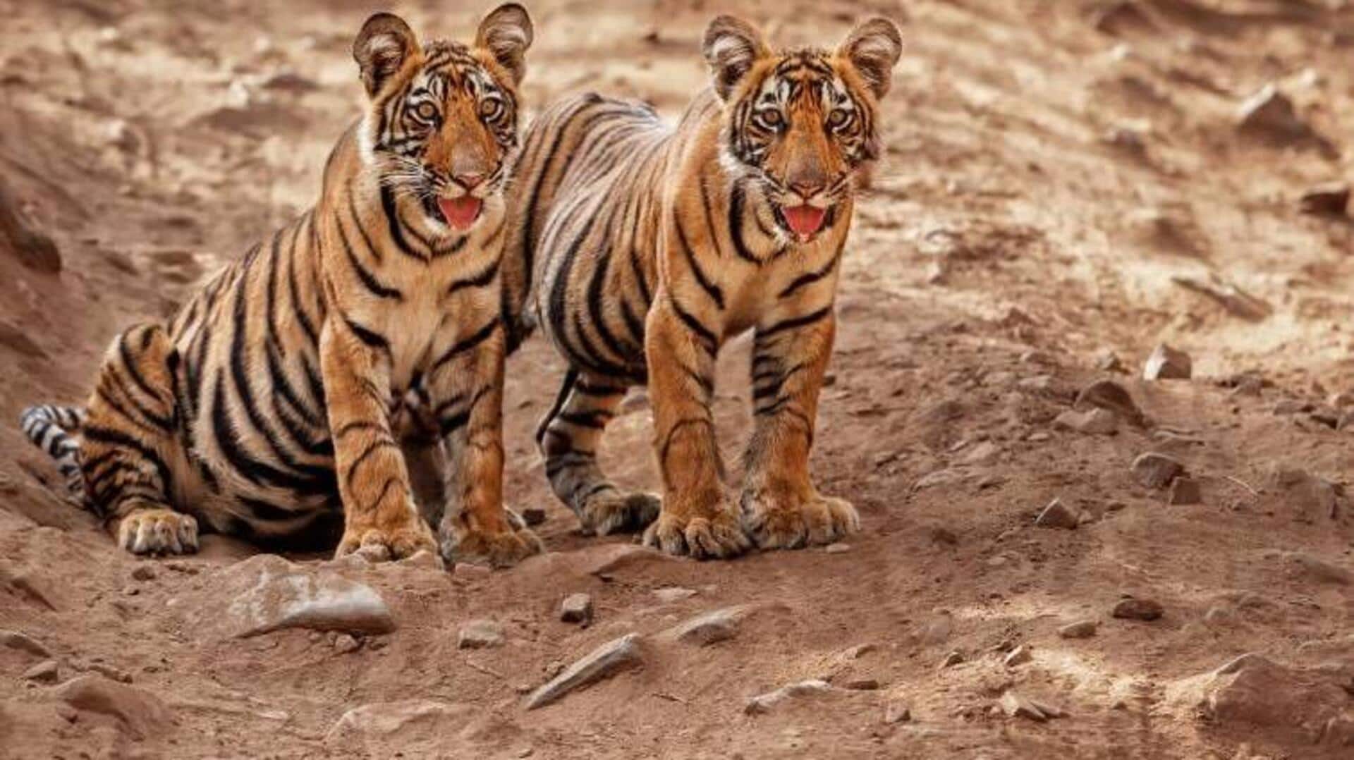 मानसून में घूमने के लिए देश के 5 राष्ट्रीय पार्क हैं बेहतरीन, जानिए इनके बारे में