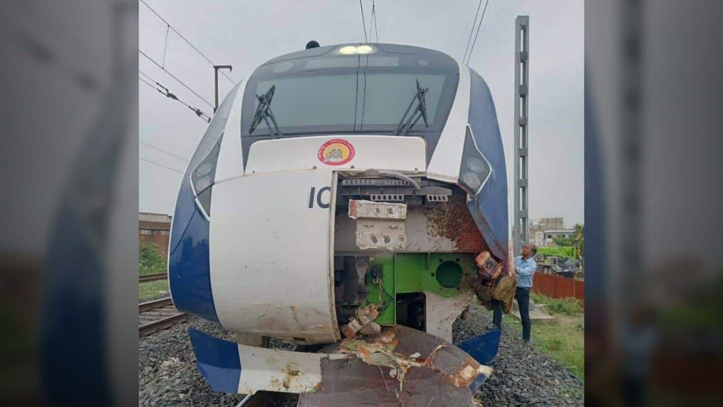 गुजरात: वंदे भारत ट्रेन से टकराने वाली भैंसों के मालिक के खिलाफ FIR
