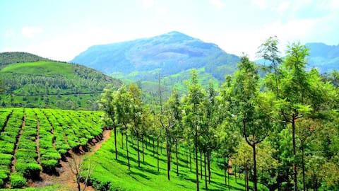 जून में इन 5 हिल स्टेशन का करें रुख, यात्रा बन जाएगी यादगार