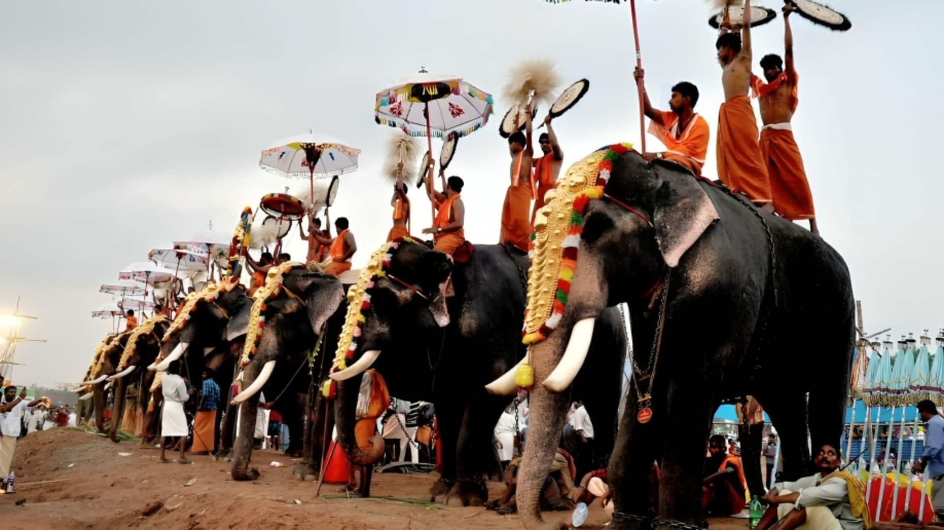 केरल: मल्लपुरम में मंदिर उत्सव के दौरान भड़का हाथी, लोगों को उठाकर पटका; देखें वीडियो