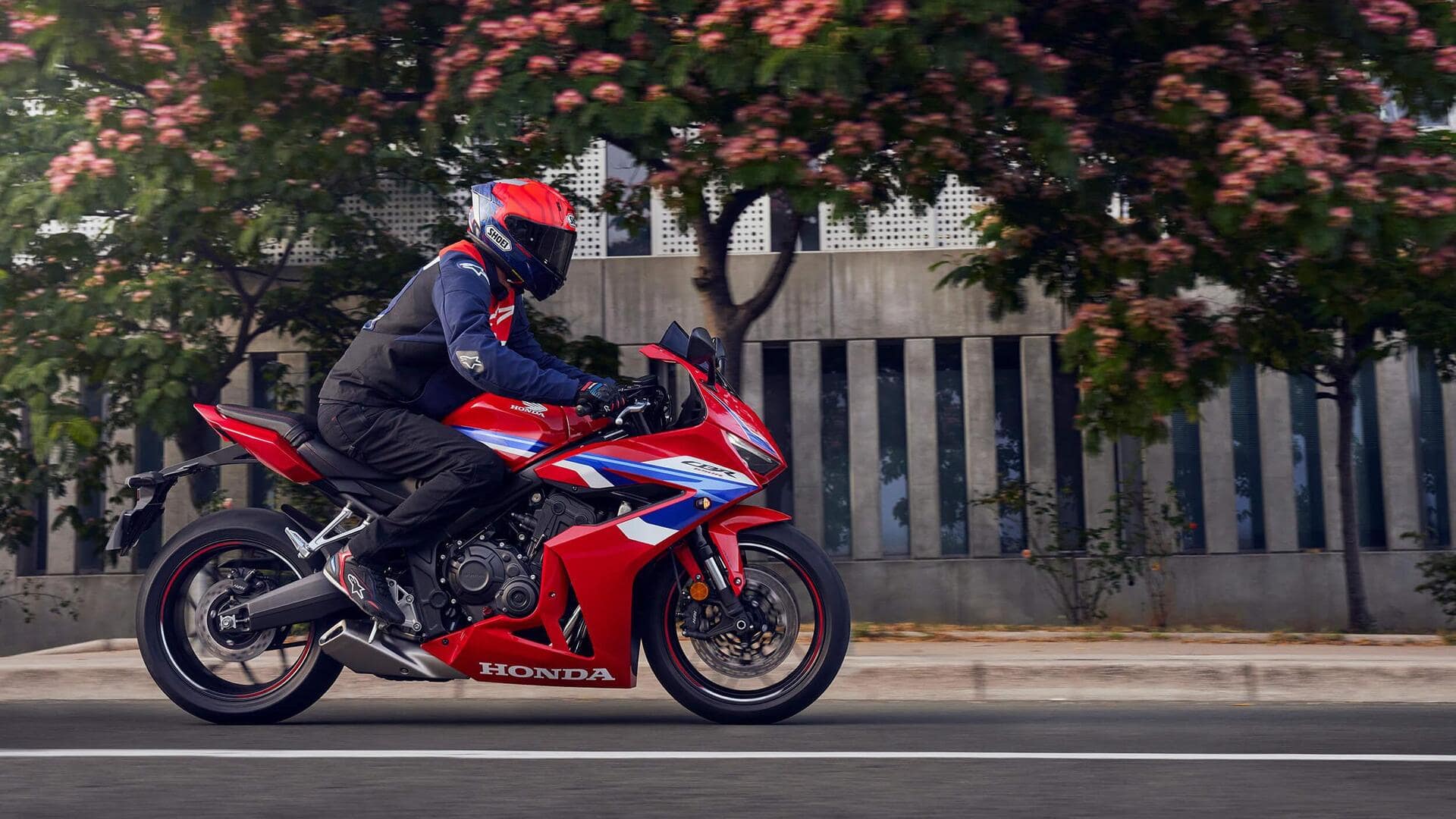 होंडा पेश करेगी CBR650R में E-क्लच सिस्टम, जल्द हो सकती है लॉन्च होंडा पेश करेगी CBR650R में E-क्लच सिस्टम, जल्द हो सकती है लॉन्च
