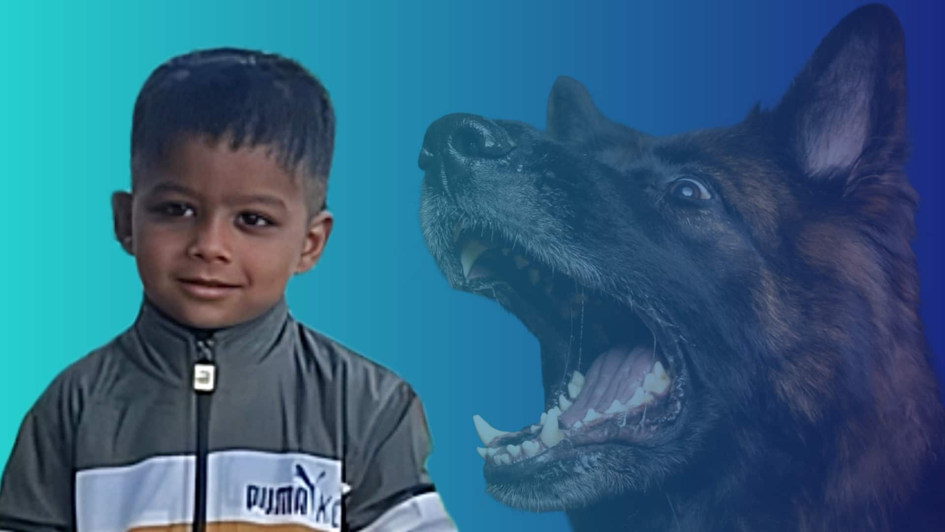 आगरा: कुत्ते के काटने पर बच्चे की मौत; लगी थी वैक्सीन की डोज, कहां हुई चूक? 