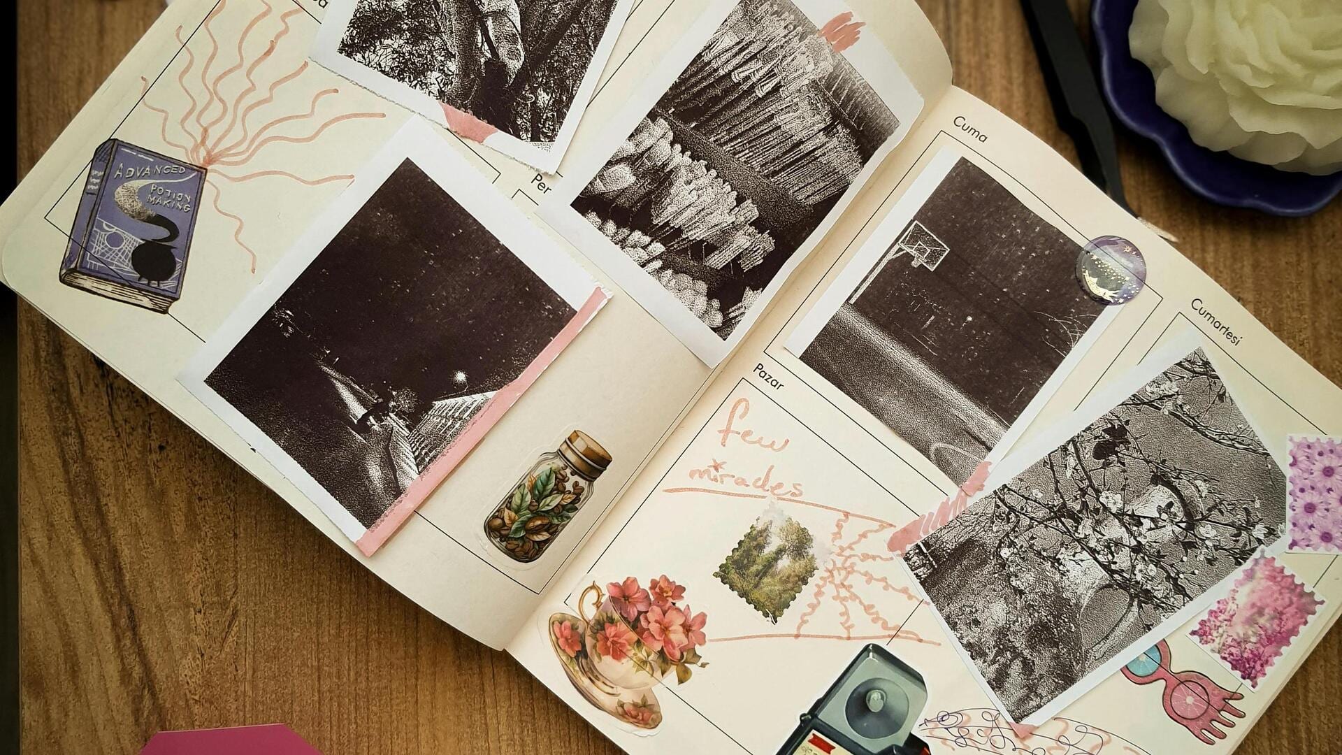 आत्म-देखभाल का एक बेहतरीन तरीका है आर्ट जर्नलिंग, जानिए इससे जुड़ी महत्वपूर्ण बातें