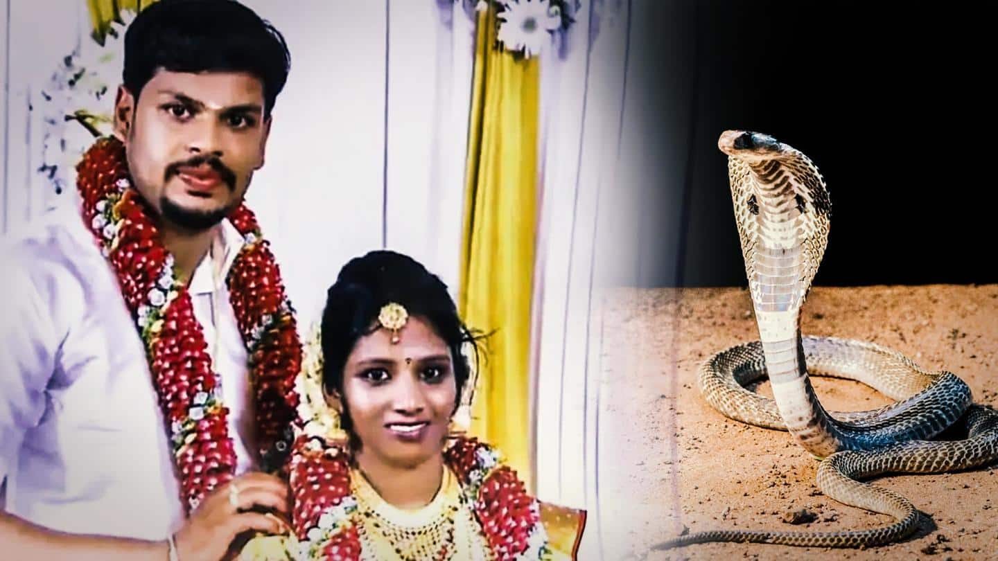 केरल: कोबरा सांप से डसवाकर पत्नी की हत्या करने वाले दोषी पति को मिली दोहरी उम्रकैद