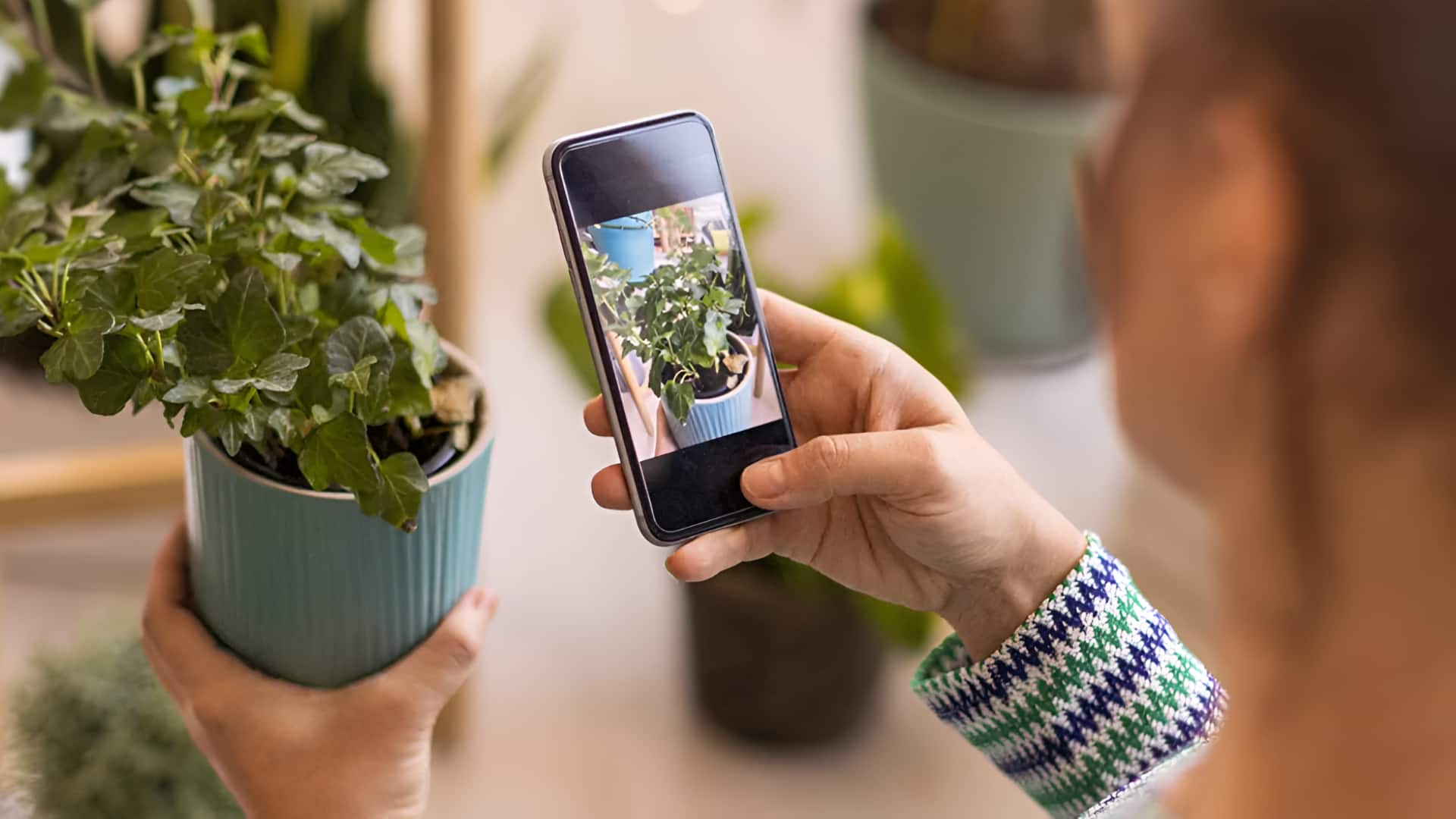 बागवानी के शौकीनों को क्यों आजमाने चाहिए AI टूल्स?